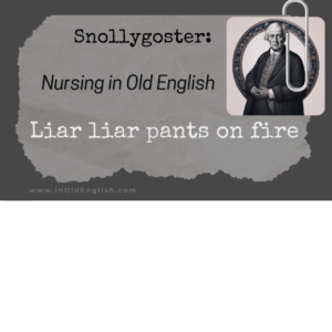 Snollygoster in Nursing sticker
