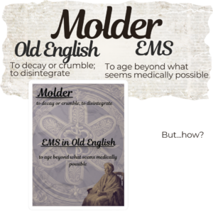 Molder in EMS Vinyl