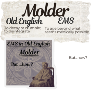 Molder in EMS Magnet