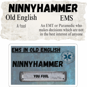 Ninnyhammer in EMS Magnet Mockup