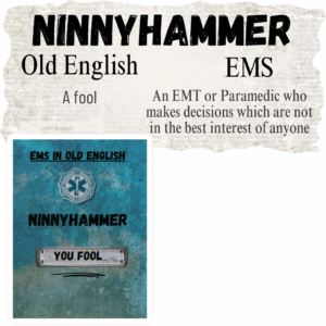 Ninnyhammer in EMS Vinyl Mockup