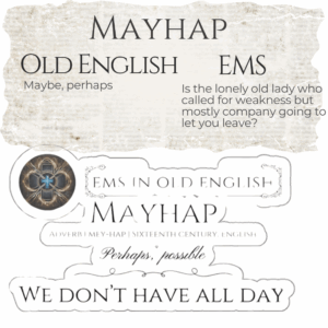 Mayhap in EMS Magnet Mockup
